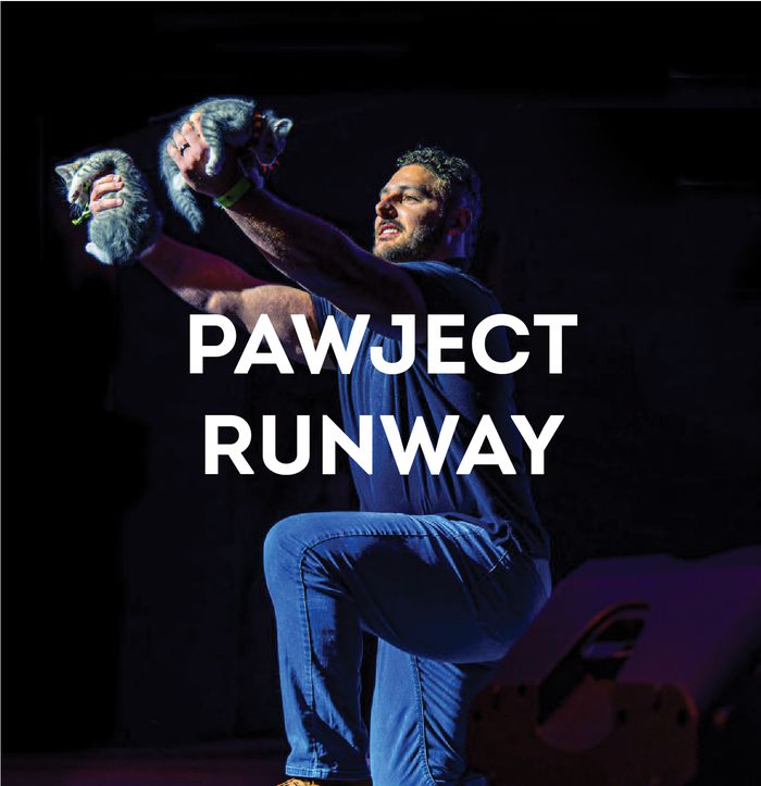 Pawject Runway