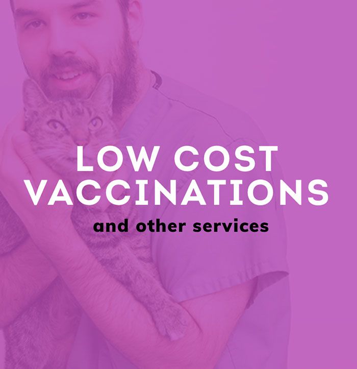 Low Cost Vaccinations