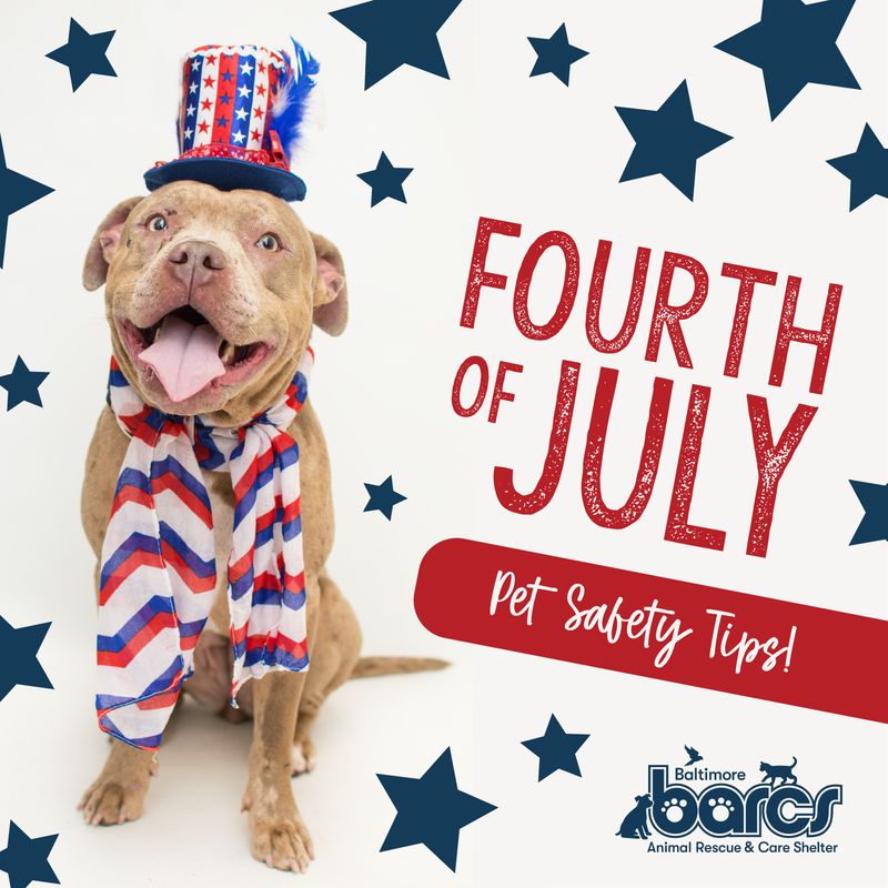 Fourth of July Pet Safety Tips!