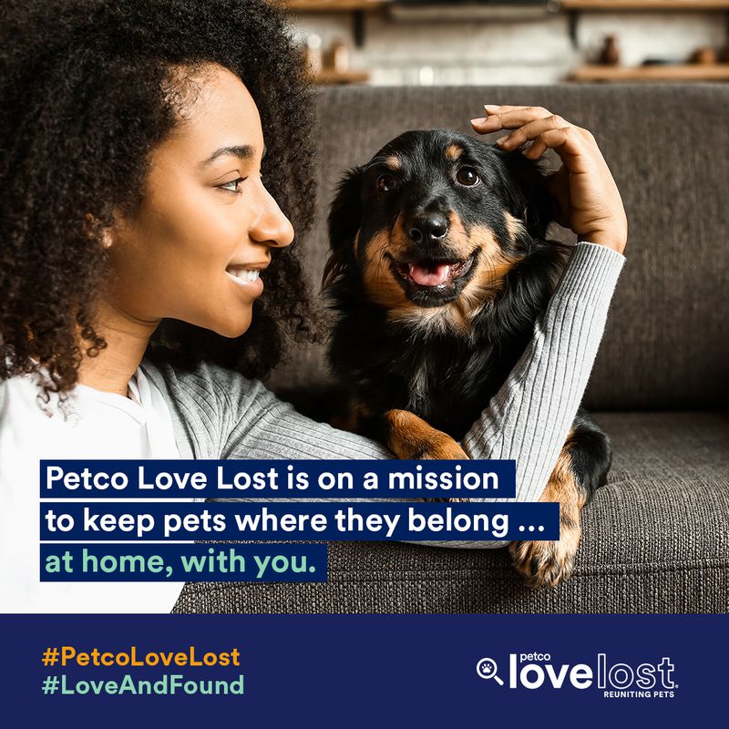 Introducing Petco Love Lost