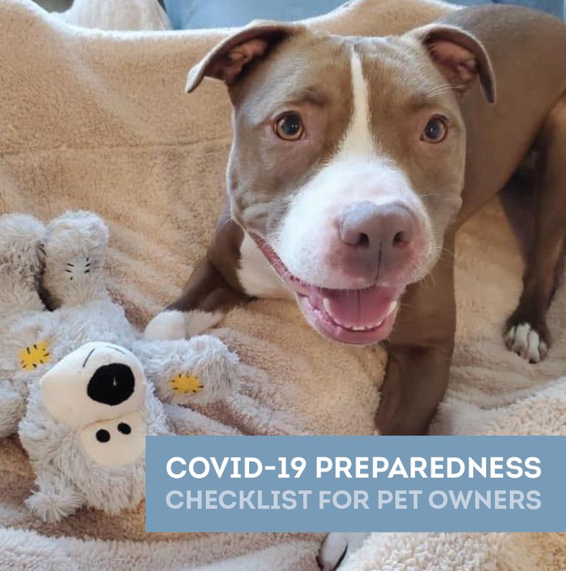 COVID-19 Preparedness: Checklist for Pet Owners